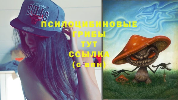 метадон Баксан